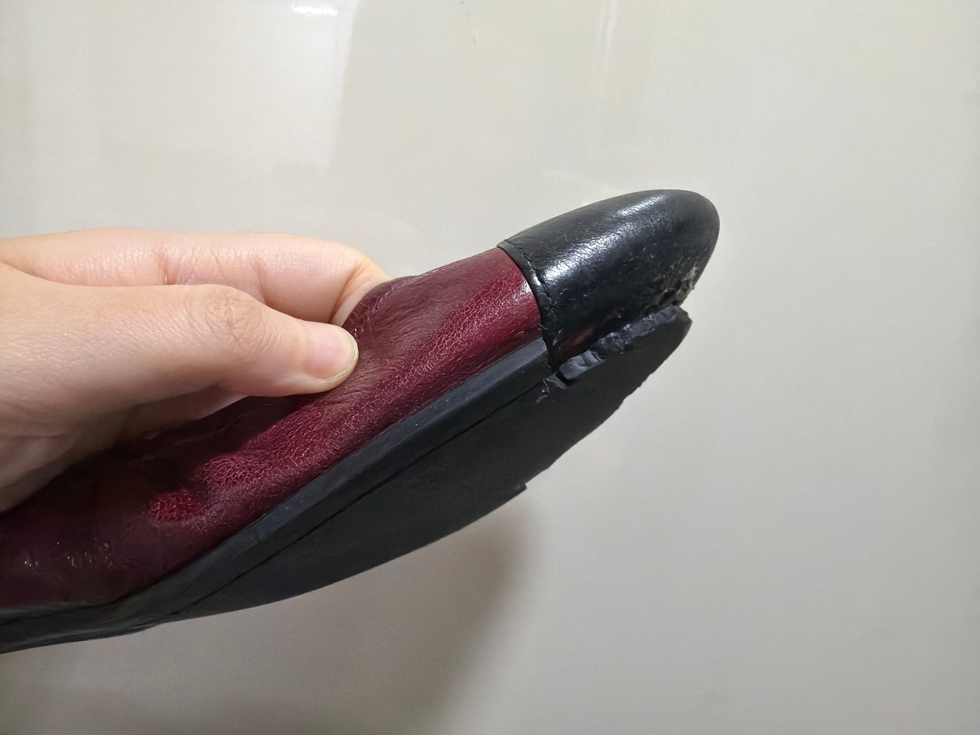 오염문의 이미지